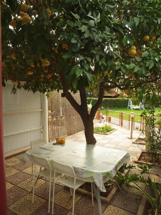 Moon-Light Studio Hotel Larnaca Eksteriør billede